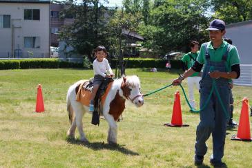 ポニーの体験乗馬を楽しむ子ども