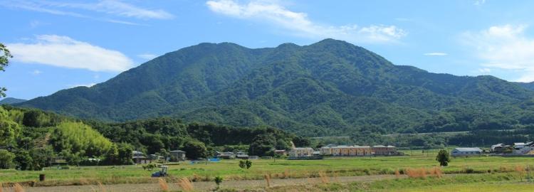 野坂岳全景の画像
