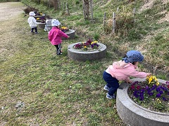 ひよこ組が花壇の花を触っています。