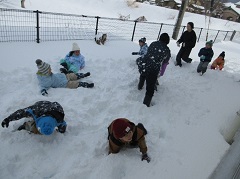 きりん組が雪遊びを楽しんでいます。