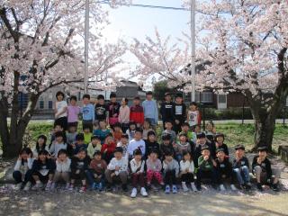 桜の下で集合写真