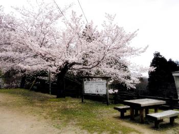 春の風景（あずまやにて）