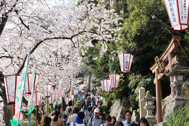 多くの来場者で賑わう金崎宮（2日）