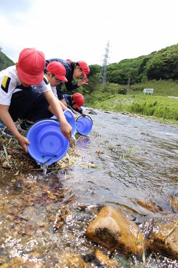 バケツを使って鮎を放流する様子