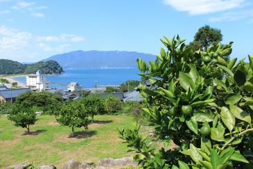 中庄治みかん園からの景色
