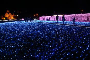 芝生に広がる青い海