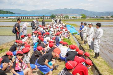 田植えについて説明を受ける児童たち