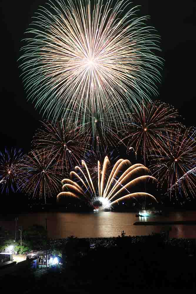 夜空に大輪の花