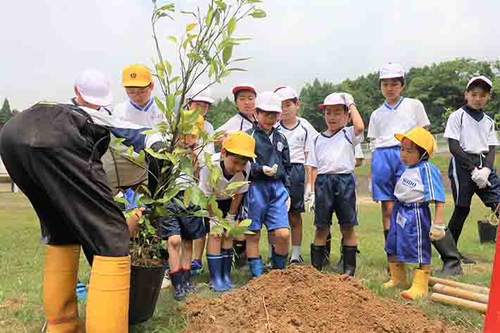 東浦みかん苗植えの様子