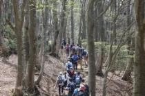登山の様子