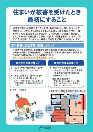 内閣府チラシ