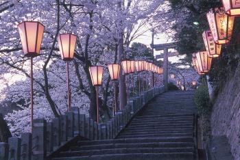 敦賀の名所の写真