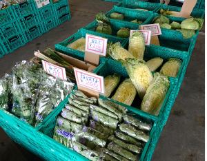 野菜の写真