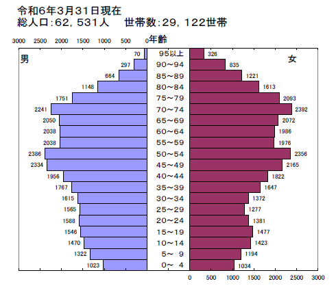 人口属性図