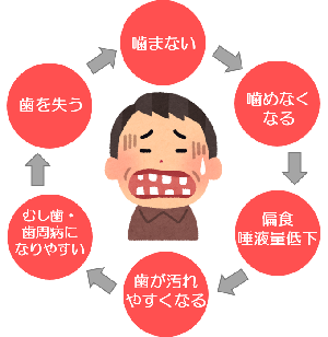 噛まない食べ方のサイクル図