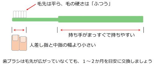 毛先は平らで人差し指よ中指の幅より小さく、毛の硬さはふつう、持ち手はまっすぐで持ちやすい物