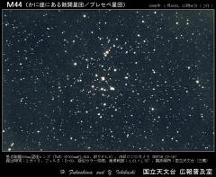 M44プレセペ星団