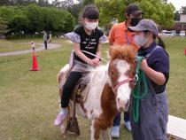 ポニー体験乗馬