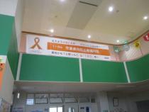 オレンジリボンの展示写真