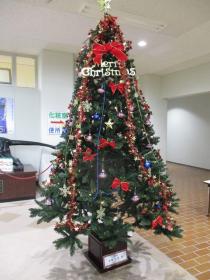 クリスマスツリー