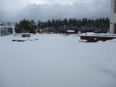 こどもの国　雪の様子