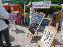 春まつり 犬猫の命を守る会