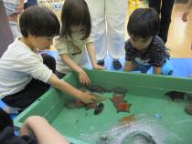 おさかなパラダイスの写真