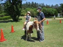 ポニー乗馬