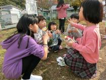 芋掘り体験教室の様子