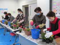 寄せ植え講習会　2