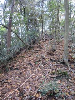 衣掛山登山道整備前