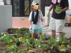 花苗を植えている写真