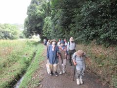 参加者がウォーキングしている