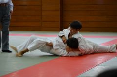 市民スポーツ祭の柔道の寝技の写真