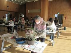 お正月の寄せ植え