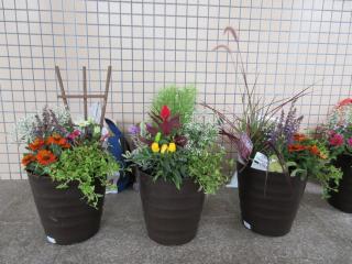 寄せ植え教室の様子