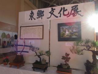 高齢者スポーツと演芸のつどい・文化展の様子