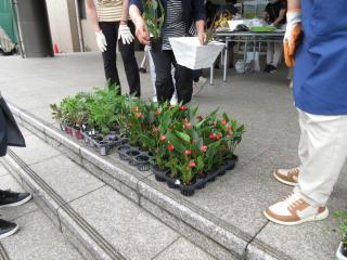 寄せ植え教室の様子