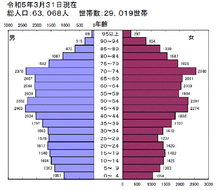 令和5年人口ピラミッド図