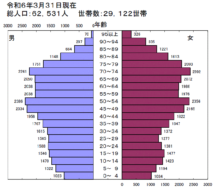 令和6年人口ピラミッド図