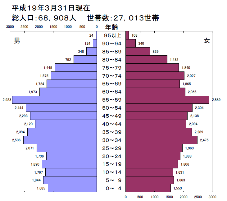 平成19年人口ピラミッド図