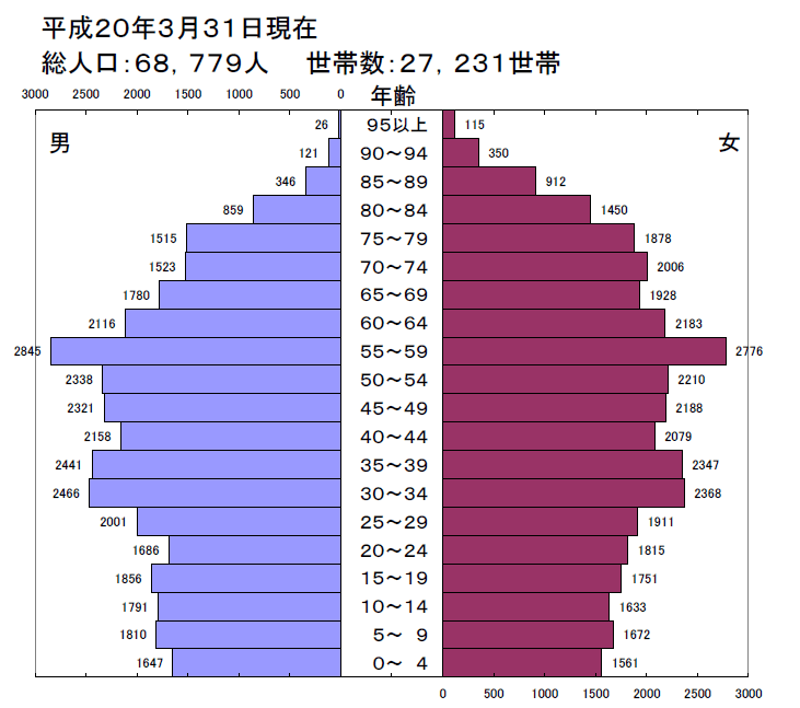 平成20年人口ピラミッド図