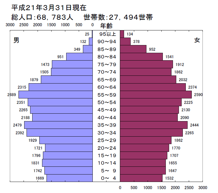 平成21年人口ピラミッド図