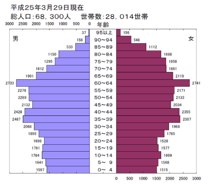 平成25年人口ピラミッド図