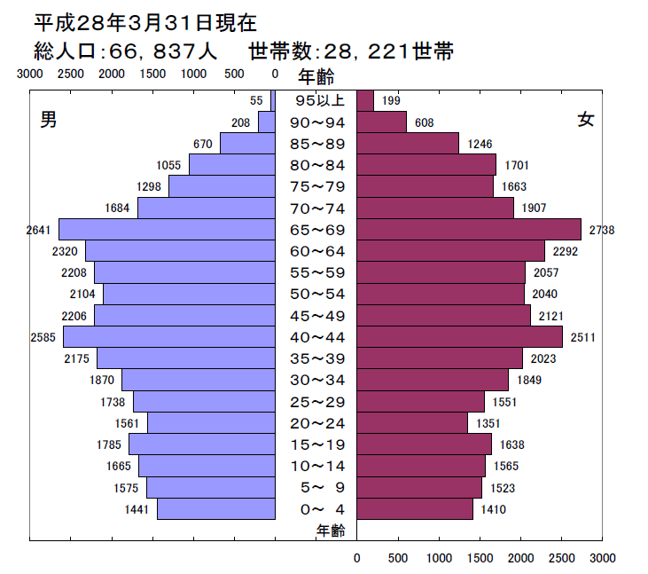 平成28年人口ピラミッド図