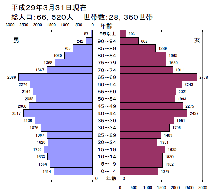 平成29年人口ピラミッド図