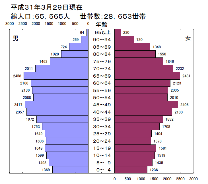 平成31年人口ピラミッド図