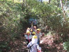 山登りの画像