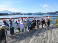 デッキから魚を探す子ども達