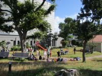 蓬莱公園で葉っぱ探し